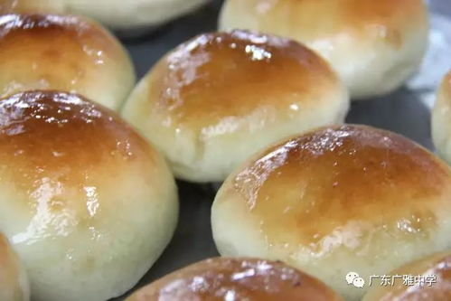 廣雅食堂榮獲食品安全A級認定并開展豐富歌舞活動，打造安全與活力校園環境